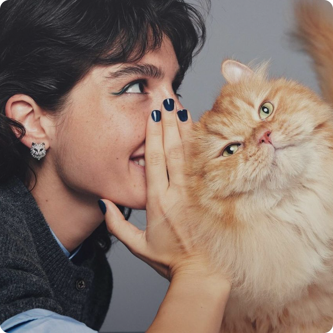 WHISPER FROM MEOW MEOW
