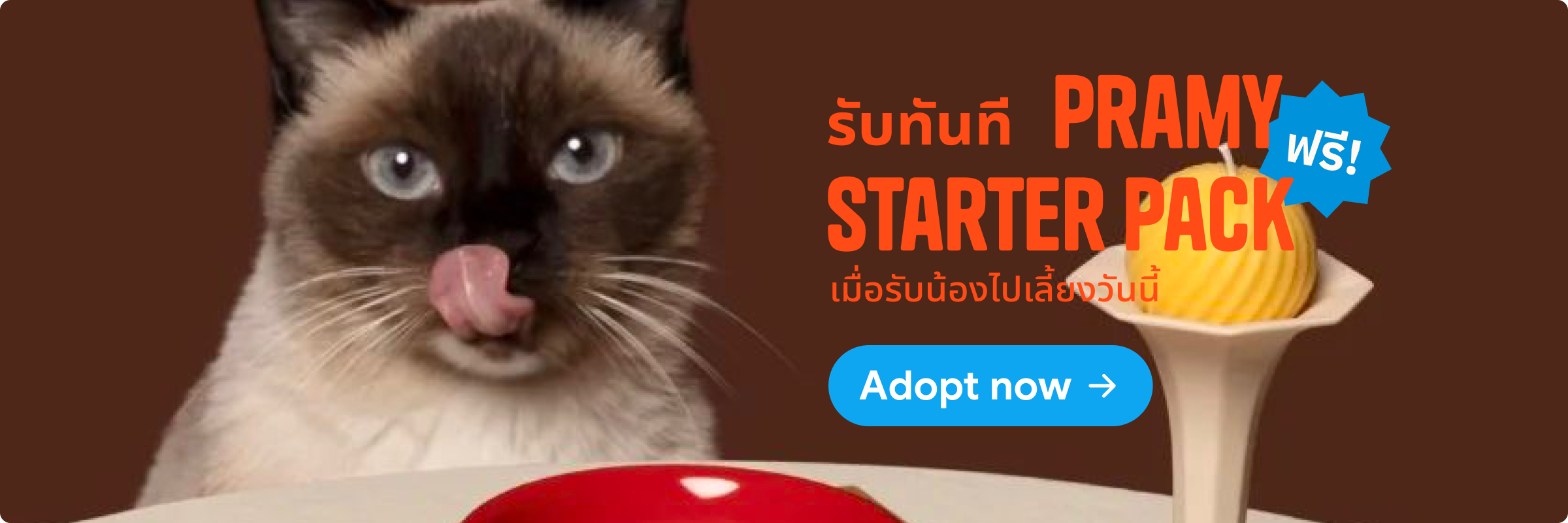รับทันที Pramy Starter Pack ฟรี เมื่อรับน้องไปเลี้ยงวันนี้ — Adopt now