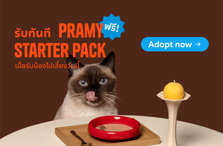รับทันที Pramy Starter Pack ฟรี เมื่อรับน้องไปเลี้ยงวันนี้ — Adopt now